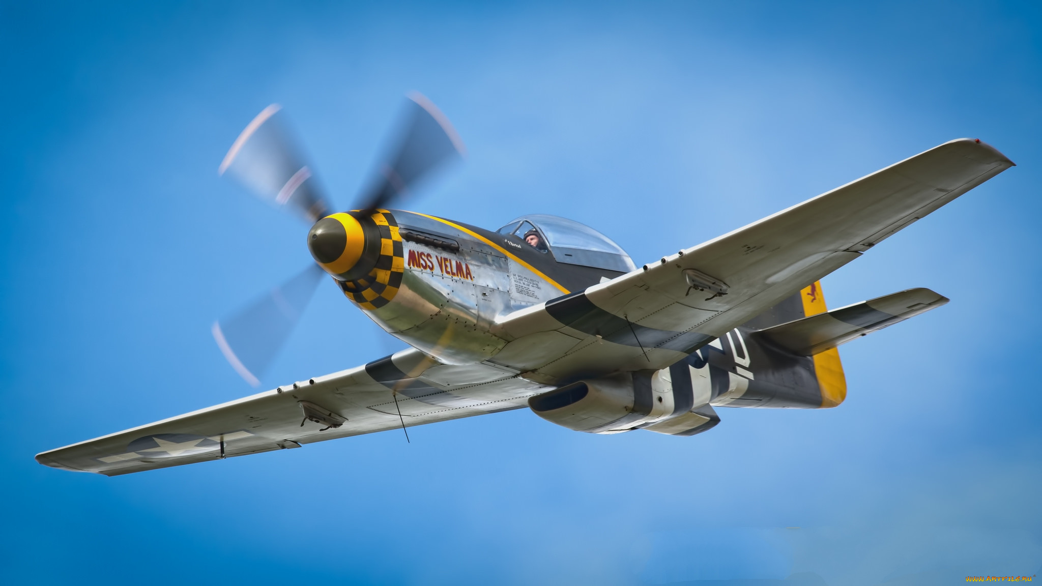 p-51d mustang, ,  , 